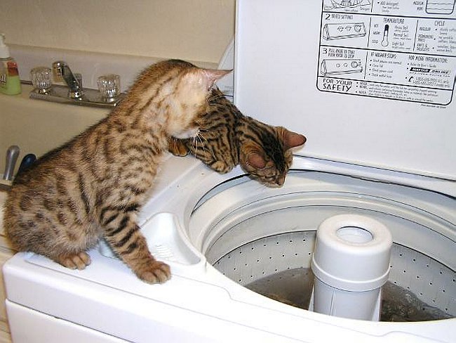 Lance & Encore wWasher